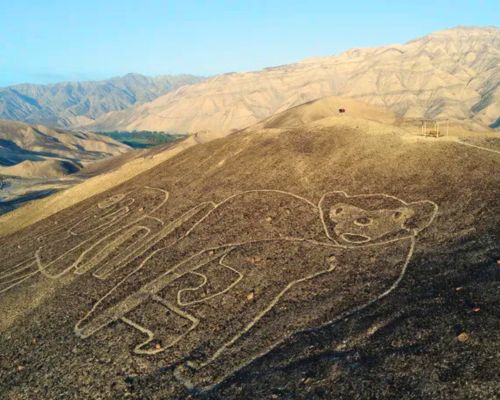 Large geoglyph of a feline figure on desert hillside