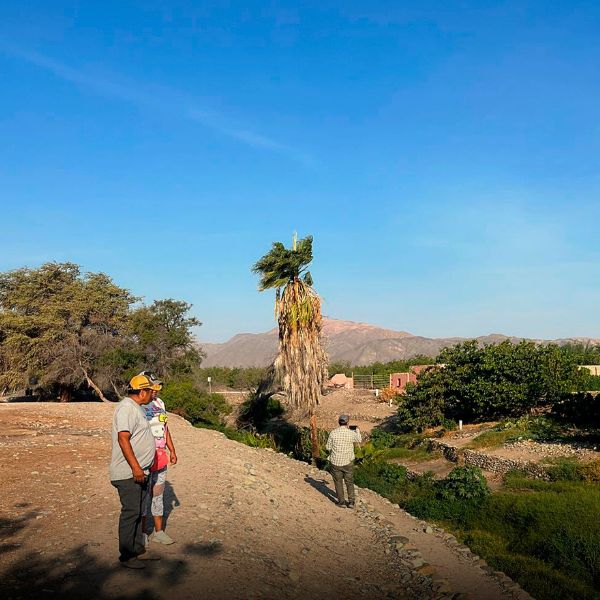 Visiting the Old channels of Ocongalla on out tour to Cahuachi