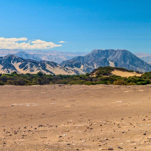Panoramic view of the Chauchilla desert and Andean foothills