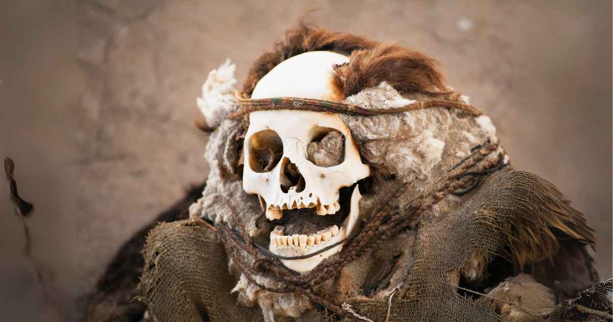 Chauchilla Cemetery Tour offers a guided visit to ancient Nazca burial grounds with preserved mummies