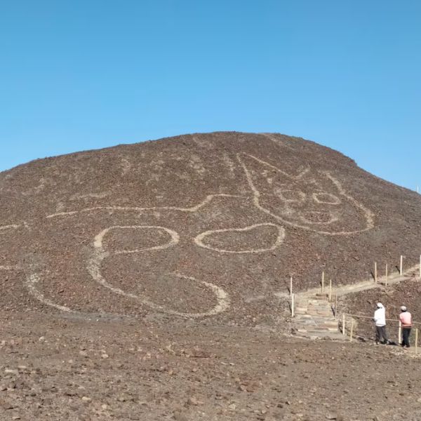 Geoglyph of a feline figure carved on a hillside.