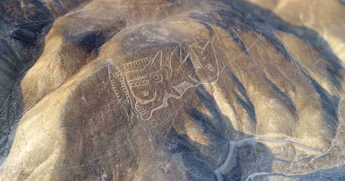 Private Tour to the Killer Whale Geoglyph in the Palpa Desert.