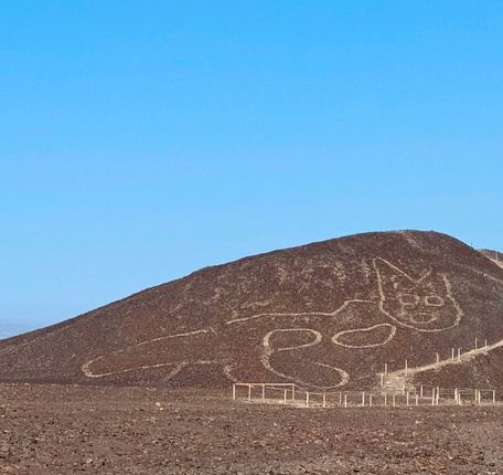 The Nazca Cat geoglyph outlined on the slope of a dry hill under a clear blue sky.