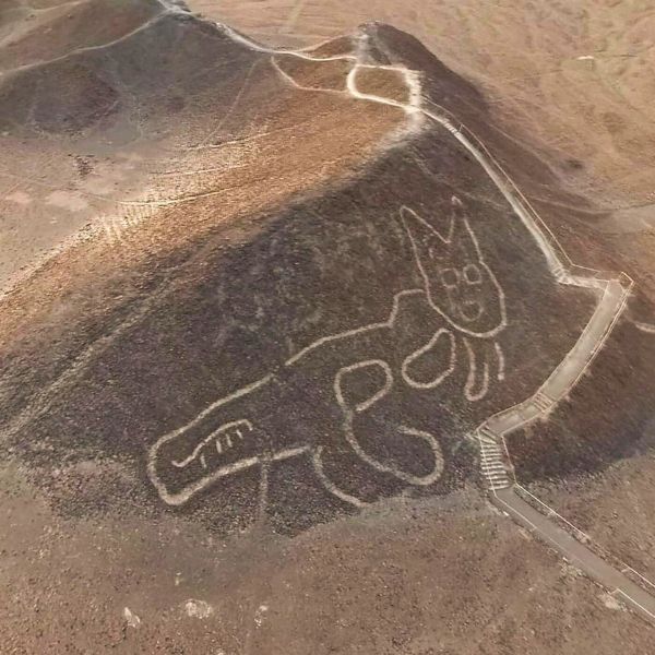 The Nazca Cat geoglyph etched on a desert hill